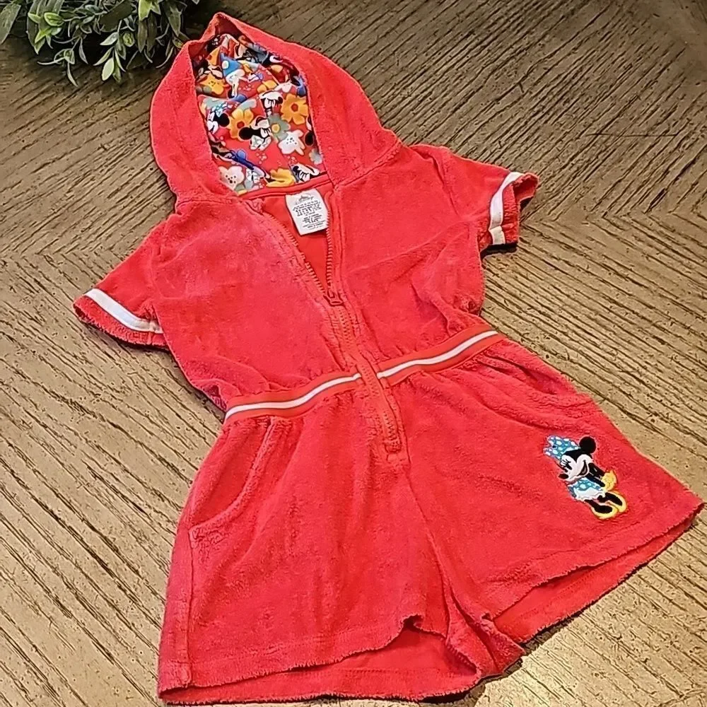 Disney minnie mouse